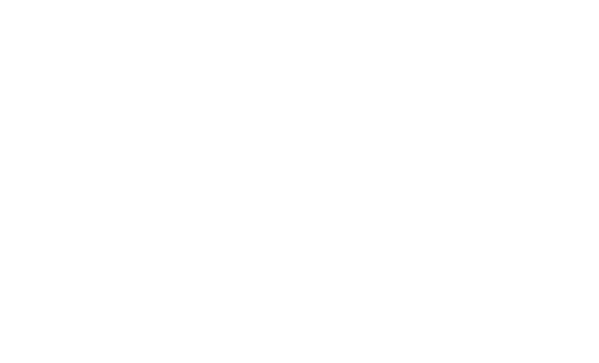 Jumbo Rocks Adventures